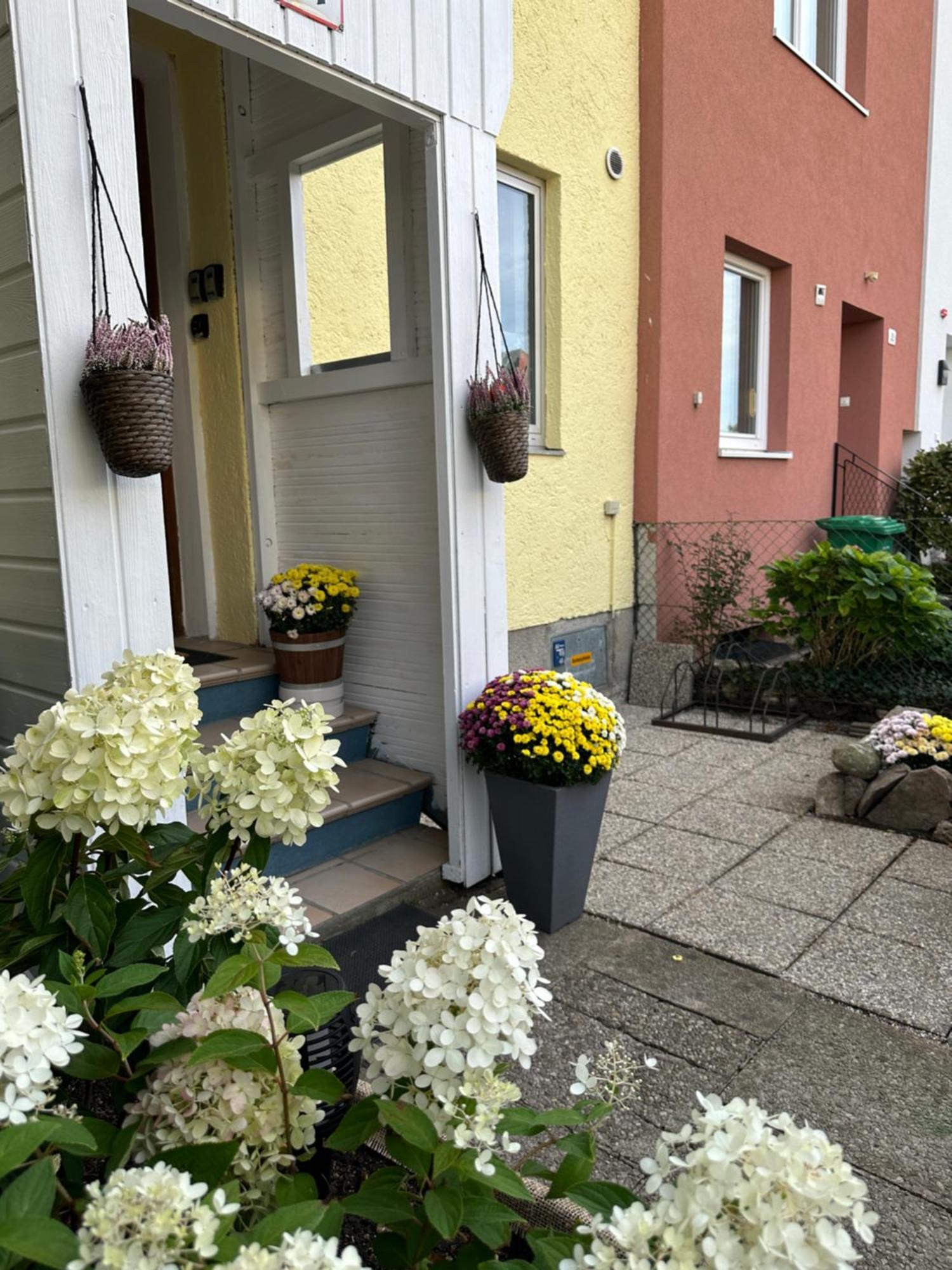 Green Paradise & Cozy Retreat Salzburg With Free Parking Salzburgo Exterior foto